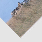 夕暮れのゼブラ 薄葉紙 (詳細)