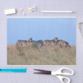 夕暮れのゼブラ 薄葉紙 (クラフト)