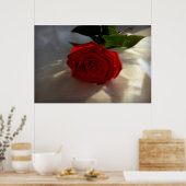 夕暮れのバラ ポスター (キッチン)