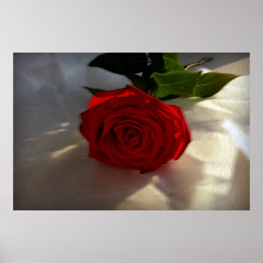 夕暮れのバラ ポスター (正面)