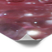 夕暮れのピンクのバラに露を付ける ポスター (角)