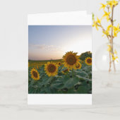 夕暮れのポスターはがきのひまわり カード (黄色い花)