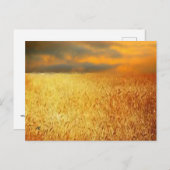 夕暮れの小麦畑 ポストカード (正面/裏面)