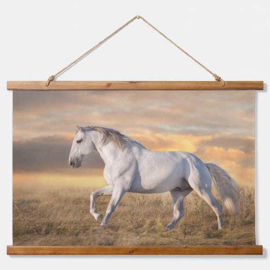 夕暮れの草地に美しいイベリアの馬 吊り下げ型タペストリー (正面)