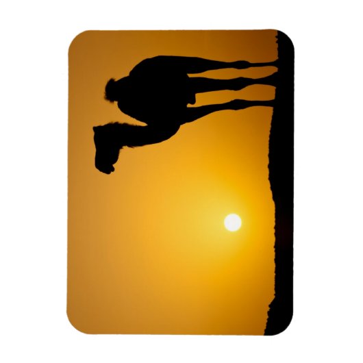 夕暮れの野生のラクダのシルエット マグネット (縦)