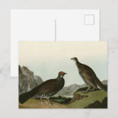 夕暮れグロス（ブルーグルーズ）オードボンバード・オブ・アメリカ ポストカード (正面/裏面)