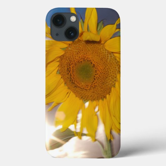 夕暮れ吹時の風にひまわりの雑種 Case-Mate iPhoneケース (裏面)