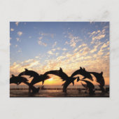 夕暮れ時にイルカが水から飛び降りる ポストカード (正面)