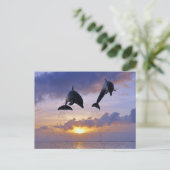 夕暮れ時にイルカが飛び跳ねる ポストカード (スタンド正面)