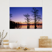 夕暮れ時にシルエットになった禿げたヒノキ。 ポスター (キッチン)