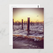 夕暮れ時にペリカンが湾を渡る ポストカード (正面/裏面)