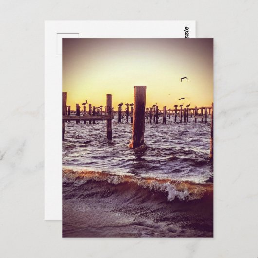 夕暮れ時にペリカンが湾を渡る ポストカード (正面/裏面)