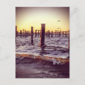 夕暮れ時にペリカンが湾を渡る ポストカード (正面)