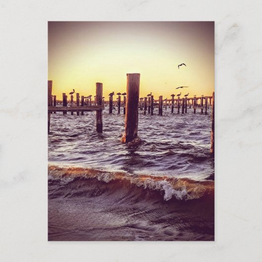 夕暮れ時にペリカンが湾を渡る ポストカード (正面)