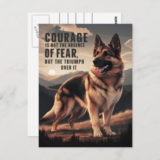 夕暮れ時に勇敢なドイツの羊飼い ポストカード (正面/裏面)