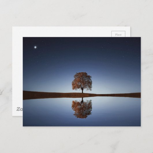 夕暮れ時に湖に映る美しい孤独な木 ポストカード (正面/裏面)