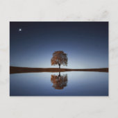 夕暮れ時に湖に映る美しい孤独な木 ポストカード (正面)
