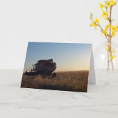 夕暮れ時に結合 カード (黄色い花)