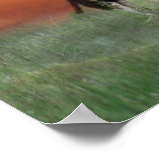 夕暮れ時に野生の鹿 ポスター (角)