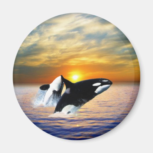 夕暮れ時のクジラ マグネット (正面)
