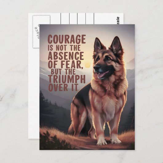 夕暮れ時のドイツの羊飼いの勇気 ポストカード (正面/裏面)