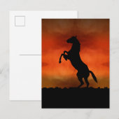 夕暮れ時のフリーホース ポストカード (正面/裏面)