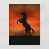 夕暮れ時のフリーホース ポストカード (正面)