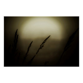 夕暮れ時の小麦 ポスター