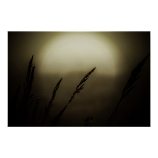 夕暮れ時の小麦 ポスター (正面)