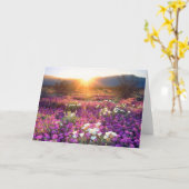 夕暮れ時の山花 |アンザ・ボレゴ砂漠 カード (黄色い花)