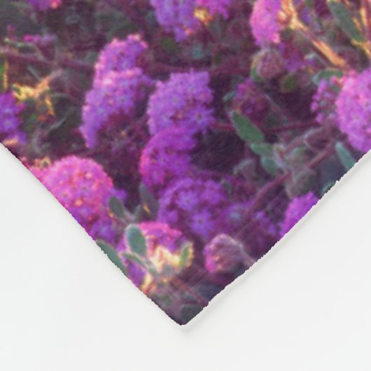 夕暮れ時の山花 |アンザ・ボレゴ砂漠 フリースブランケット (角)