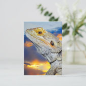夕暮れ時の灰色のトカゲ 招待状 (スタンド正面)
