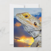 夕暮れ時の灰色のトカゲ 招待状 (裏面)