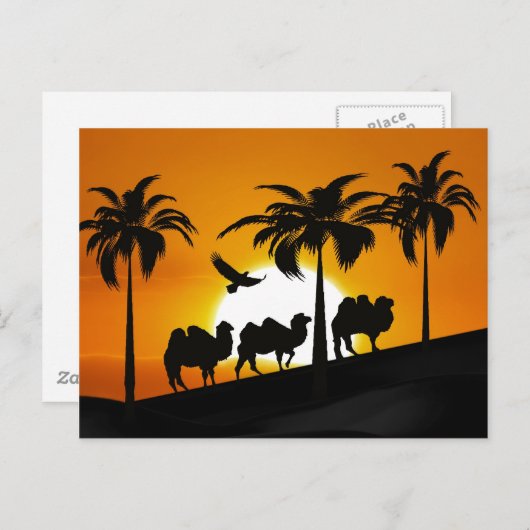 夕暮れ時の砂漠のラクダ ポストカード (正面/裏面)