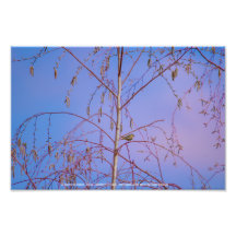 夕暮れ時の秘密