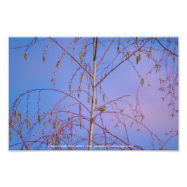 夕暮れ時の秘密 フォトプリント           