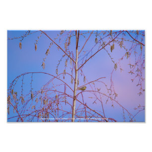 夕暮れ時の秘密 フォトプリント