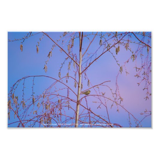 夕暮れ時の秘密 フォトプリント            (正面)