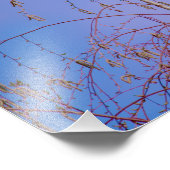 夕暮れ時の秘密 フォトプリント            (角)