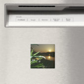 夕暮れ時の葉の上の蝶のクローズアップ マグネット (インサイチュ (食洗機))