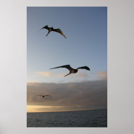 夕暮れ時の鳥たち ポスター