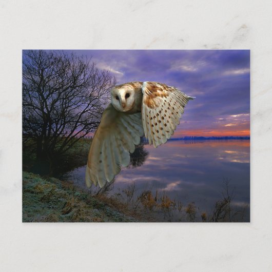 「夕暮れ」はがき ポストカード (正面)