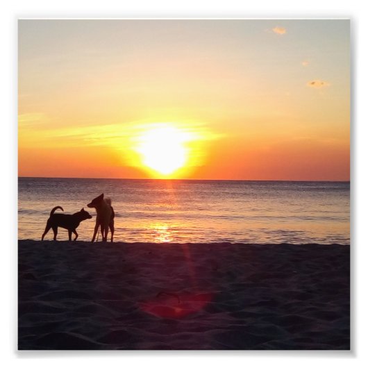 夕暮れ フォトプリント            (正面)