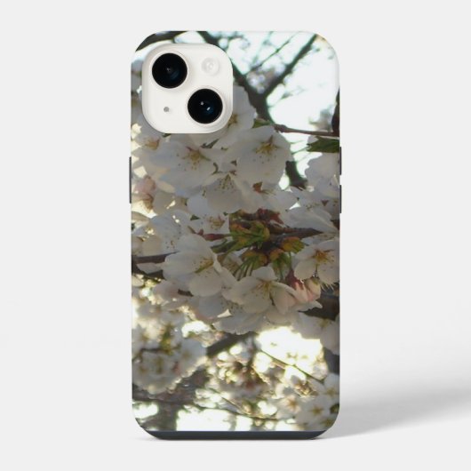 夕桜 II 春の夕焼け iPhoneケース (裏面)