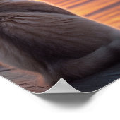 夕焼けと海を背景にした埠頭に猫 ポスター (角)