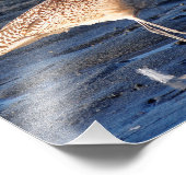 夕焼けに巻き起こされる フォトプリント (角)