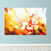 夕焼けに染まる杏の花びら キャンバスプリント (インサイチュ (ウッドフロア))