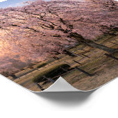 夕焼けに泣く桜 – アートプリント ポスター (角)