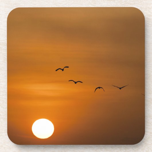 夕焼けに飛ぶ鳥 コースター (正面)