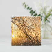 夕焼けのつららと枝 招待状 (スタンド正面)